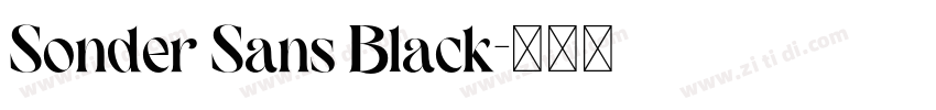 Sonder Sans Black字体转换 Sonder Sans Black字体转换